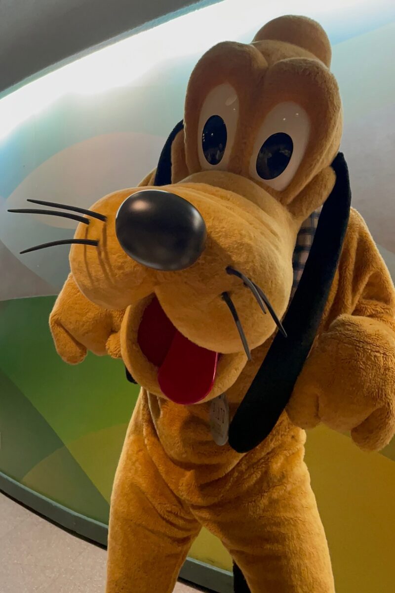 Garden Grill Restaurantのプルート